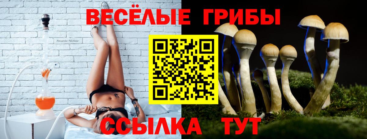 Псилоцибиновые грибы Cubensis  Вход с VPN  Королёв  Галлюциногенные грибы мицелий 
